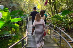 Agentes de viagem de todo o Brasil estão conhecendo o turismo do Paraná presencialmente
