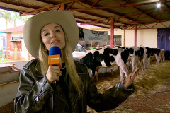 TV Paraná Turismo exibe edição especial do AgroTur nesta terça-feira (12) direto da ExpoIngá