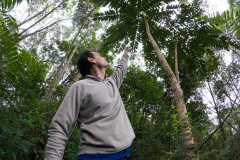 Sítios experimentais da Sanepar validam eficiência de tecnologias de sucessão ecológica para recuperação de áreas degradadas