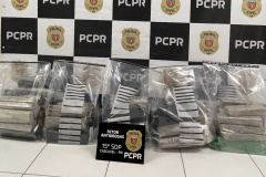 PCPR intercepta mais 73 quilos de maconha em Cascavel