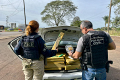 PCPR e PRF prendem homem e apreendem cerca de 400 quilos de maconha no Oeste