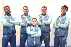 SEES equipe libertadores karate