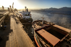 EXPORTAÇÕES