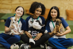 Estudantes da rede estadual transformam adoção animal em campanhas de impacto e conquistam prêmio nacional de criatividade
