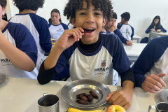 Pinhão ganha espaço nos cardápios estudantis da rede estadual