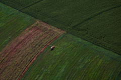 VBP Agropecuário do Paraná alcança R$ 212,6 bilhões e reafirma protagonismo nacional
