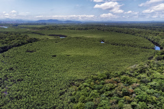 - Paraná reduziu em 87,5% desmatamento da Mata Atlântica entre 2020 e 2025
