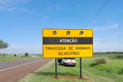 Vai pegar a estrada? Secretaria do Desenvolvimento Sustentável alerta para os cuidados com a fauna silvestre.