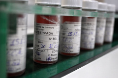 Doação de tecidos ajuda a recuperar queimados, tratar doenças e até devolver a visão