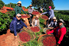 Feira da Agroindústria Familiar reúne produtores e valoriza protagonismo das mulheres rurais no Paraná