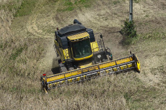 Valor de produção agricola IBGE