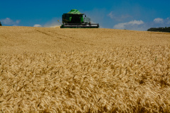 O Valor Bruto da Produção Agropecuária (VBP) do Paraná atingiu R$ 89,6 bilhões em 2018, correspondente ao faturamento bruto dos produtores com a comercialização da safra 2017/18..  -  Foto - Antonio Costa/Arquivo ANPr