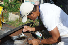 Paraná tem 2.631 casos de dengue e 10 municípios estão em epidemia. Foto:SESA