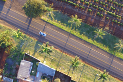Governo planeja ações para ampliar capacidade de mais de 260 quilômetros de rodovias 
Com divisão em cinco lotes, intenção é remodelar trechos das PR-487, PR-460, PR-272 e PR-466 e garantir melhor interligação entre as regiões produtivas do Estado. 

Foto: DER 
