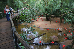 Pesquisa quer saber sobre as intenções de viagens dos turistas. Foto:José Fernando Ogura/AEN