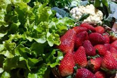 Nações Unidas pretendem usar 2021 como marco na consciência sobre o papel que frutas, vegetais e legumes exercem na nutrição humana, segurança alimentar e saúde, além de contribuir para redução de desperdício.