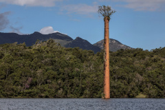 Preservação do meio ambiente coloca Sanepar na lista de sustentabilidade da Bolsa de Valores  -  Foto: Divulgação Sanepar

