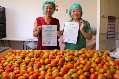 O Instituto de Tecnologia do Paraná já certificou cerca de 700 produtores paranaenses por meio do Paraná Mais Orgânico, desde 2009. O programa do Governo do Estado orienta agricultores familiares interessados em produzir alimentos orgânicos e certifica aqueles que já seguem as técnicas de manejo desta modalidade de produção. Foto: Tecpar
