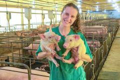 O curso de Zootecnia da Universidade Estadual de Ponta Grossa (UEPG) ganhou destaque em nível nacional, por meio dos seus acadêmicos. A estudante Rafaela Hilgemberg foi indicada ao Prêmio Estudante Dez, da Associação Brasileira de Zootecnistas (ABZ). O resultado dos indicados saiu na última terça-feira (13). Rafaela é aluna do último ano da graduação e recebeu a indicação dos professores para participar da premiação. - Ponta Grossa, 16/04/2021  -  Foto: UEPG