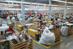 Estado terminou os primeiros três meses do ano com a geração de 78.484 postos de trabalho, respondendo por 9% dos empregos com carteira assinada criados no País durante o período. Em março, de acordo com o Caged, o saldo de admissões foi de 11.507.
Foto: Jose Fernando Ogura/AEN