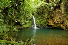 O Instituto Água e Terra (IAT), órgão vinculado à Secretaria do Desenvolvimento Sustentável e do Turismo, foi o vencedor da 27ª edição do Prêmio Expressão de Ecologia na categoria Recuperação de Áreas Degradadas.-  Curitiba, 03/05/2021  -  Foto: Divulgação SEDEST