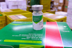 A Secretaria de Estado da Saúde (Sesa) enviou mais 423,1 mil vacinas contra a influenza para as 22 Regionais de Saúde nesta semana. O quantitativo possui 382 mil doses recebidas nessa semana do Ministério da Saúde da 6ª remessa para início da segunda etapa da campanha, além de um residual de 41.140 da 5ª remessa do imunizante, ainda referente a primeira fase.  -  Curitiba, 15/05/2021  -  Foto: Américo Antonio/SESA