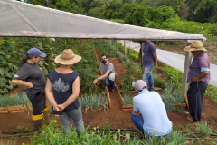 O serviço de Extensão Rural do Paraná completa 65 anos de atuação. Desde a criação do Escritório Técnico de Agricultura (ETA), em 20 de maio de 1956, profissionais de diversas áreas atuam para promover o desenvolvimento rural sustentável, coordenando, articulando e executando assistência técnica e extensão rural junto aos produtores. - Curitiba, 21/05/2021  -  Foto: IDR/PR