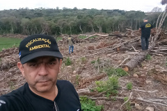 Operação Mata Atlântica em Pé aplicou R$ 15,6 milhões em multas por desmatamento ilegal . Foto: IAT