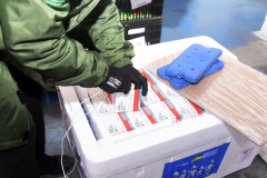 Paraná recebe 137,2 mil vacinas contra a Covid-19 para segunda dose; 176,6 mil para dose reforço chegam no sábado  -  Curitiba, 01/10/2021  -  Foto: Américo Antonio/SESA