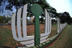 Ex-reitores participam de plantio da peroba em comemoração aos 50 anos da UEL  -  Londrina, 06/10/2021  -  Foto: UEL
