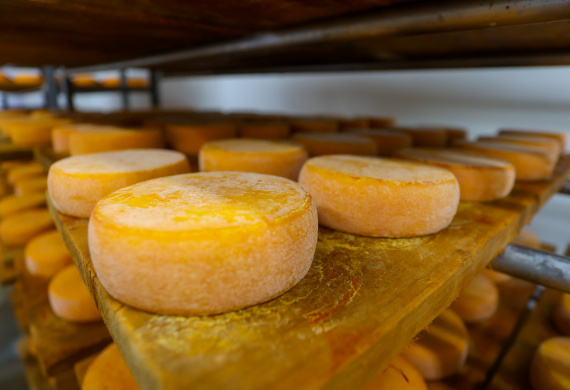 Queijo Witmarsum
