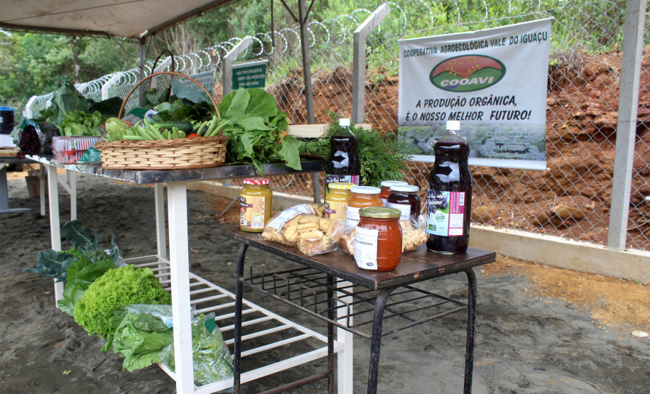 Governo apoia fortalecimento da agroindústria na região Sul do PR - Curitiba, 12/11/2021 - Foto: Gisele Barão