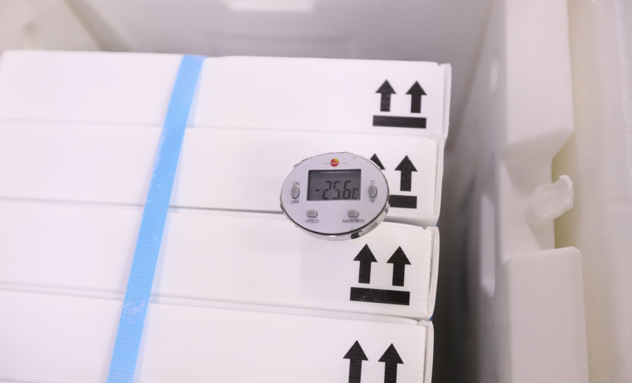 O Governo do Estado recebeu nesta sexta-feira (12), vacinas contra a Covid-19. Os imunizantes sao AstraZeneca/Fiocruz e Pfizer - Curitiba, 12/11/2021 - Foto: Geraldo Bubniak/AEN