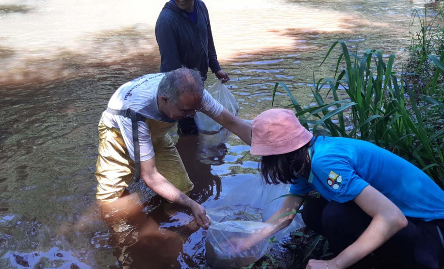 A Sanepar, o Grupo Amigos dos Rios e a Secretaria Municipal de Meio Ambiente de Cascavel farão o repovoamento dos rios Cascavel e Saltinho nesta quarta-feira (24), Dia do Rio. As ações comemorativas preveem o lançamento de sete mil peixes das espécies jundiá e lambari, nativas da bacia do Rio Iguaçu, da qual fazem parte os rios que abastecem Cascavel. - Cascavel, 22/11/2021 - Foto: Sanepar