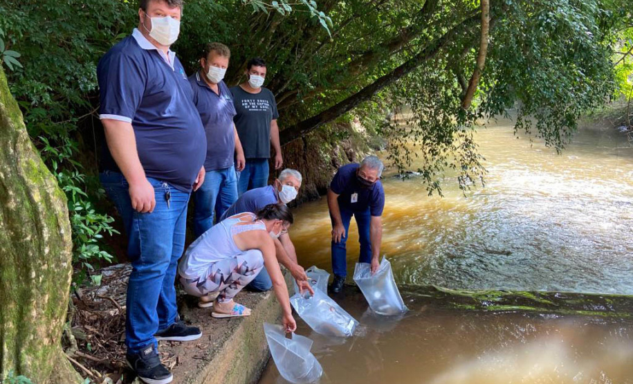 A Companhia de Saneamento do Paraná (Sanepar) fez a soltura de peixes no Rio do Lontra, manancial que abastece os moradores de Salto do Lontra, na terça-feira (23). Na ação, que faz parte das comemorações do Dia do Rio, foram lançados 5 mil peixes em idade juvenil das espécies lambari e jundiá. Essas espécies fazem parte da fauna da bacia do Baixo Iguaçu, na qual está inserido o Rio do Lontra. - Salto do Lontra, 23/11/2021 - Foto: Sanepar