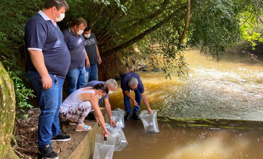 A Companhia de Saneamento do Paraná (Sanepar) fez a soltura de peixes no Rio do Lontra, manancial que abastece os moradores de Salto do Lontra, na terça-feira (23). Na ação, que faz parte das comemorações do Dia do Rio, foram lançados 5 mil peixes em idade juvenil das espécies lambari e jundiá. Essas espécies fazem parte da fauna da bacia do Baixo Iguaçu, na qual está inserido o Rio do Lontra. - Salto do Lontra, 23/11/2021 - Foto: Sanepar