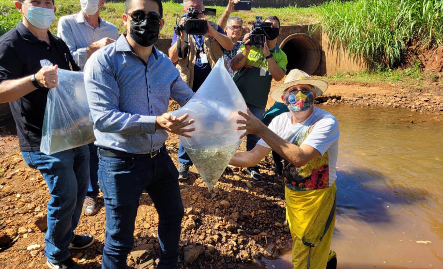 Jundiás e Lambaris são lançados em mananciais de abastecimento de Cascavel - Ação da Sanepar e parceiros visa aumentar a biodiversidade e melhorar a qualidade ambiental - Cascavel, 24/11/2021 - Foto: Sanepar