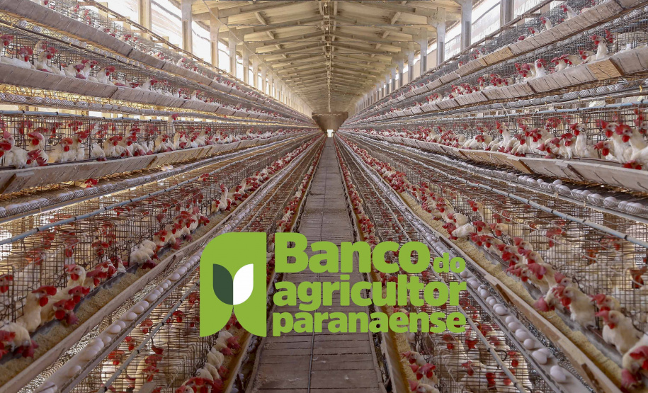 Agricultura paranaense aposta em sustentabilidade e inovação, diz secretário em evento