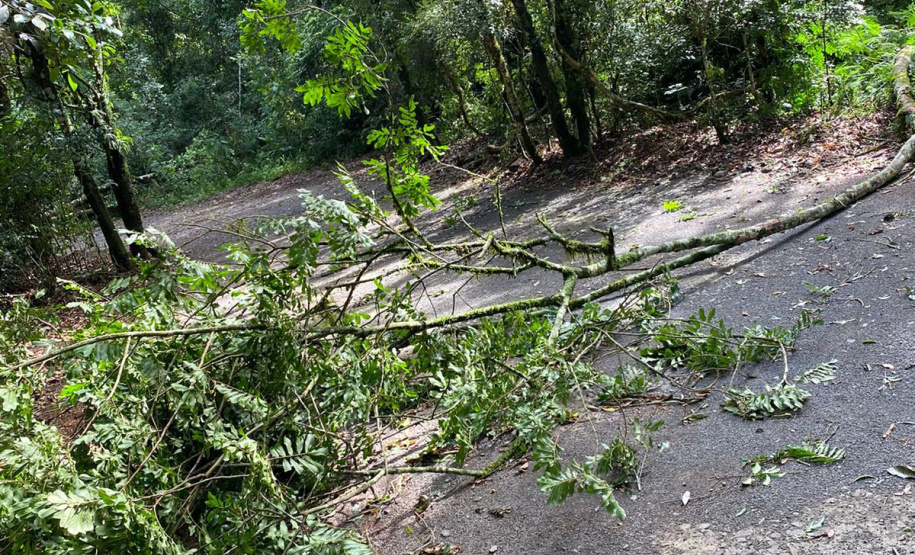 Temporal danifica estrutura do Parque Estadual Vitório Piassa, em Pato Branco - Pato Branco, 29/11/2021 - Foto: IAT