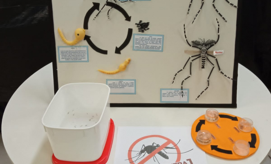 Ações em todo o Estado marcam o “Dia D” no combate à dengue. Foto:SESA