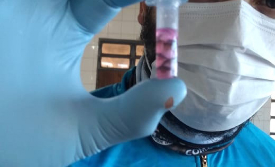 UEM desenvolve estudo de melhoria genética da pele do peixe proporcionando o aumento das fibras colágenas