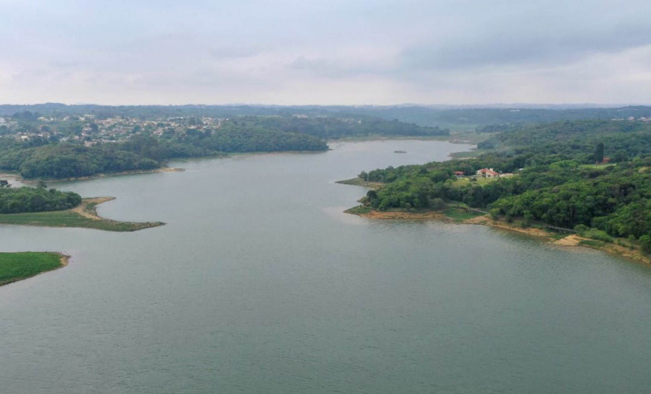 No Dia do Rio, Paraná celebra avanços no repovoamento dos rios e recuperação de nascentes. Foto: Denis Ferreira Netto