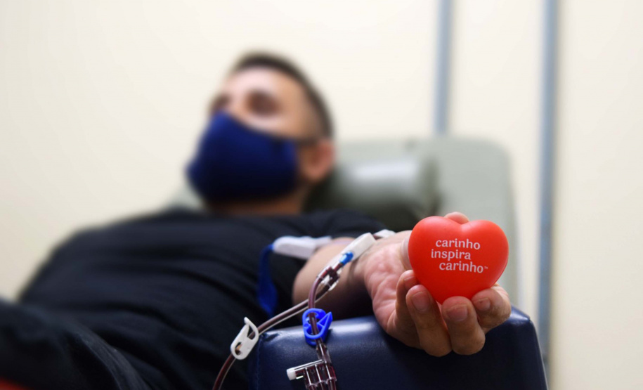 Hemepar celebra Dia Mundial do Doador de Sangue nesta quinta-feira; veja como ajudar. Foto: Américo Antonio/SESA