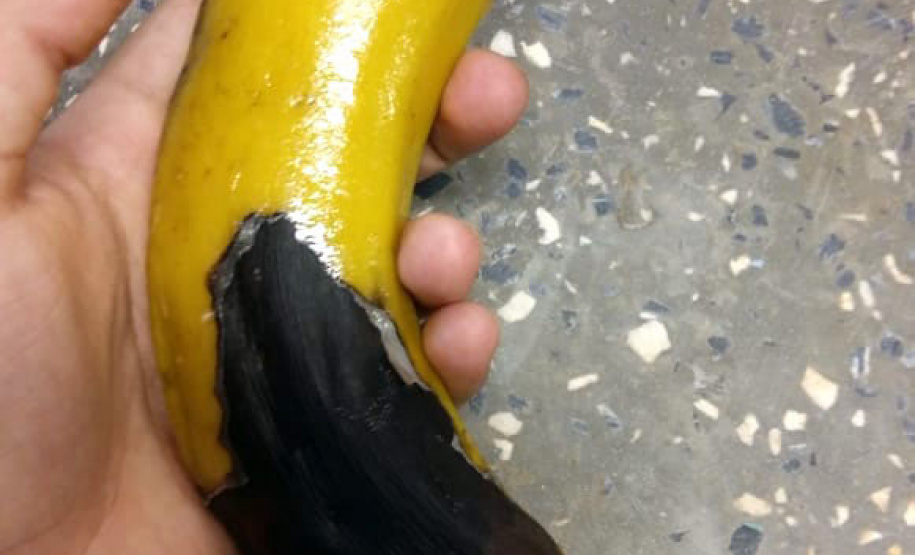 EDUCAÇÃO ESTUDANTE DE TOLEDO FINALISTAS PRÊMIO RESPOSTAS PARA O AMANHÃ