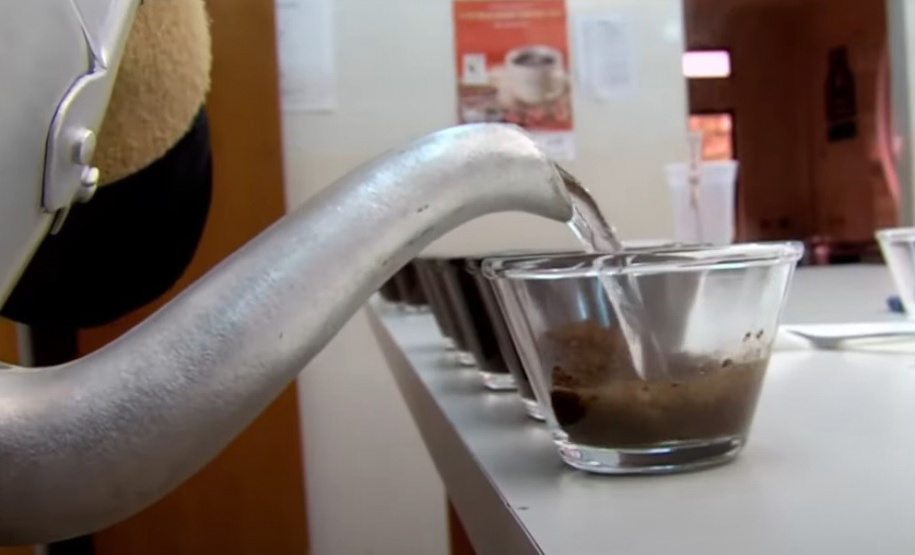 Os finalistas do Concurso Café Qualidade Paraná foram conhecidos nesta quinta-feira, dia 25, com a divulgação do resultado da 19º edição do concurso que já virou tradição no estado e tem a intenção de promover a bebida e valorizar o cafeicultor paranaense. Neste ano o Concurso Café Qualidade Paraná selecionou os três melhores lotes em cada uma das categorias: Café Natural, Cereja Descascado e Fermentação Induzida. - Curitiba, 26/11/2021 - Foto: IDR-PARANÁ