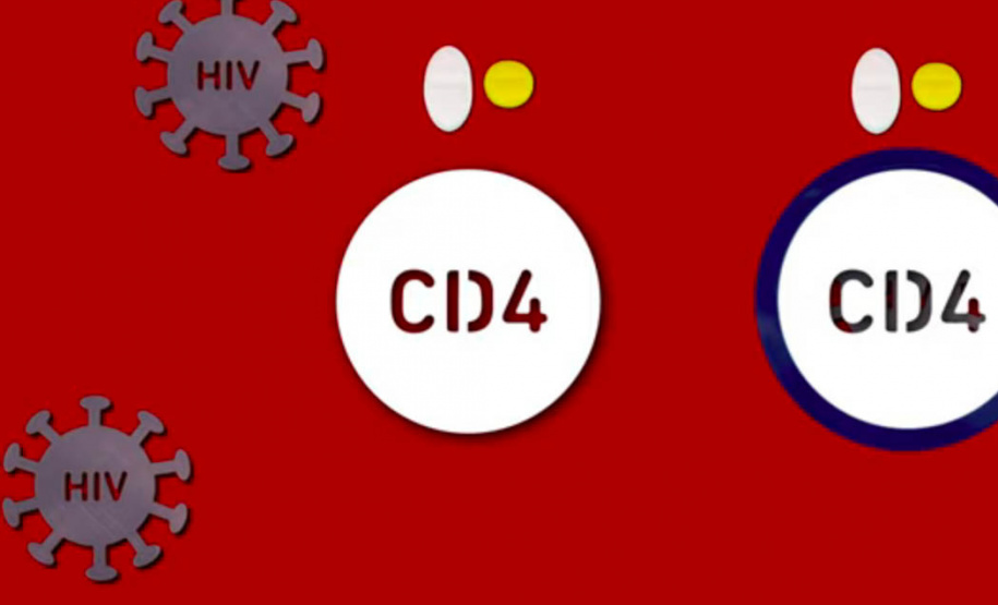 Material educativo da UEL conscientiza e promove a saúde de quem vive com HIV