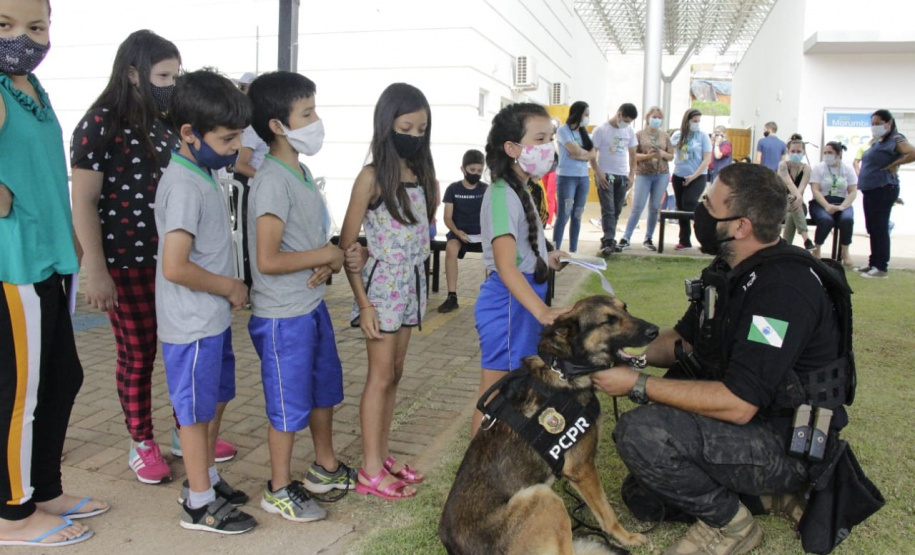 Programa Paraná Cidadão faz mais de 9 mil atendimentos em Cascavel