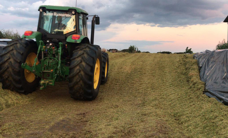Torneio avalia qualidade da silagem de milho e incentiva melhorias no sistema de produção