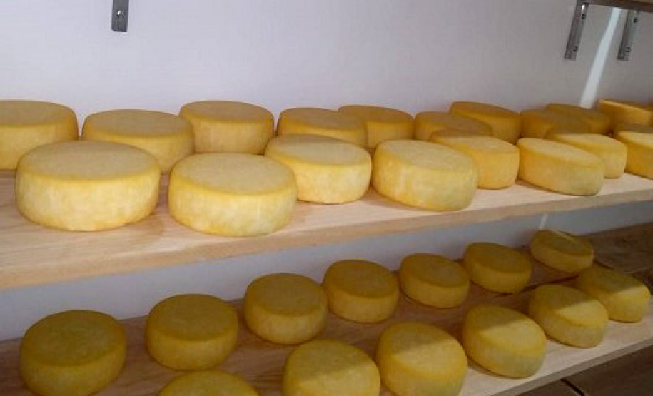 Consórcio intermunicipal amplia possibilidade de venda de produtos de origem animal - Foto: IDR-PARANÁ