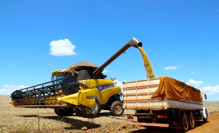 Safra de verão no Paraná pode chegar a 25,61 milhões de toneladas.